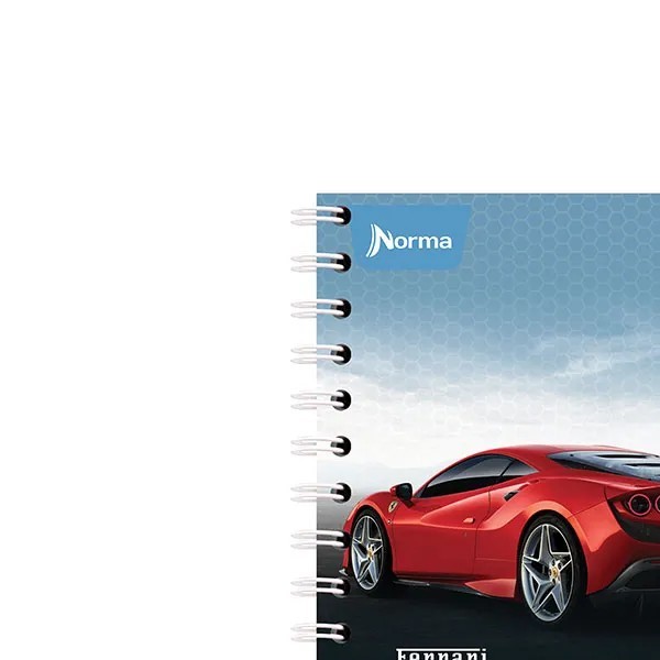 CUADERNO FRANC. FERRARI NORMA 533396 RAYA ESP. 100H. C50